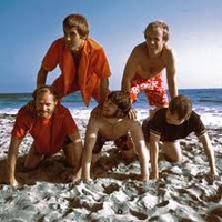 The Beach Boys