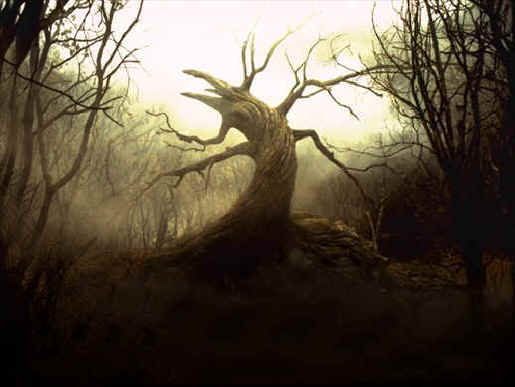 Sleepy-tree-death.jpg (45761 octets)