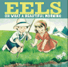 top-eels-morning.gif (38022 octets)