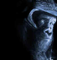 Attar