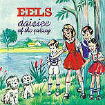 daisies-galaxy3.jpg (21997 octets)