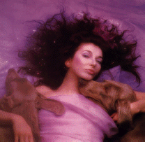 kate-bush78.gif (215109 octets)