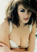 Elisabeth Hurley (a pourtant de beaux arguments)