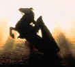 Sleepy-horseman-graves.jpg (22314 octets)