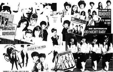 shangri-las6.jpg (92352 octets)