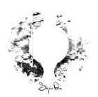 sigur-ros2.jpg (13593 octets)